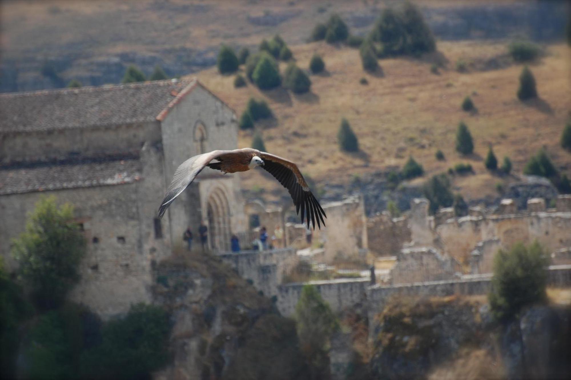El Rincón de las Hoces del Duratón Burgomillodo Exterior foto